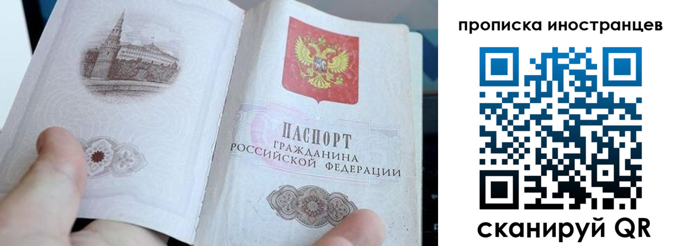прописка поиск в Щиграх